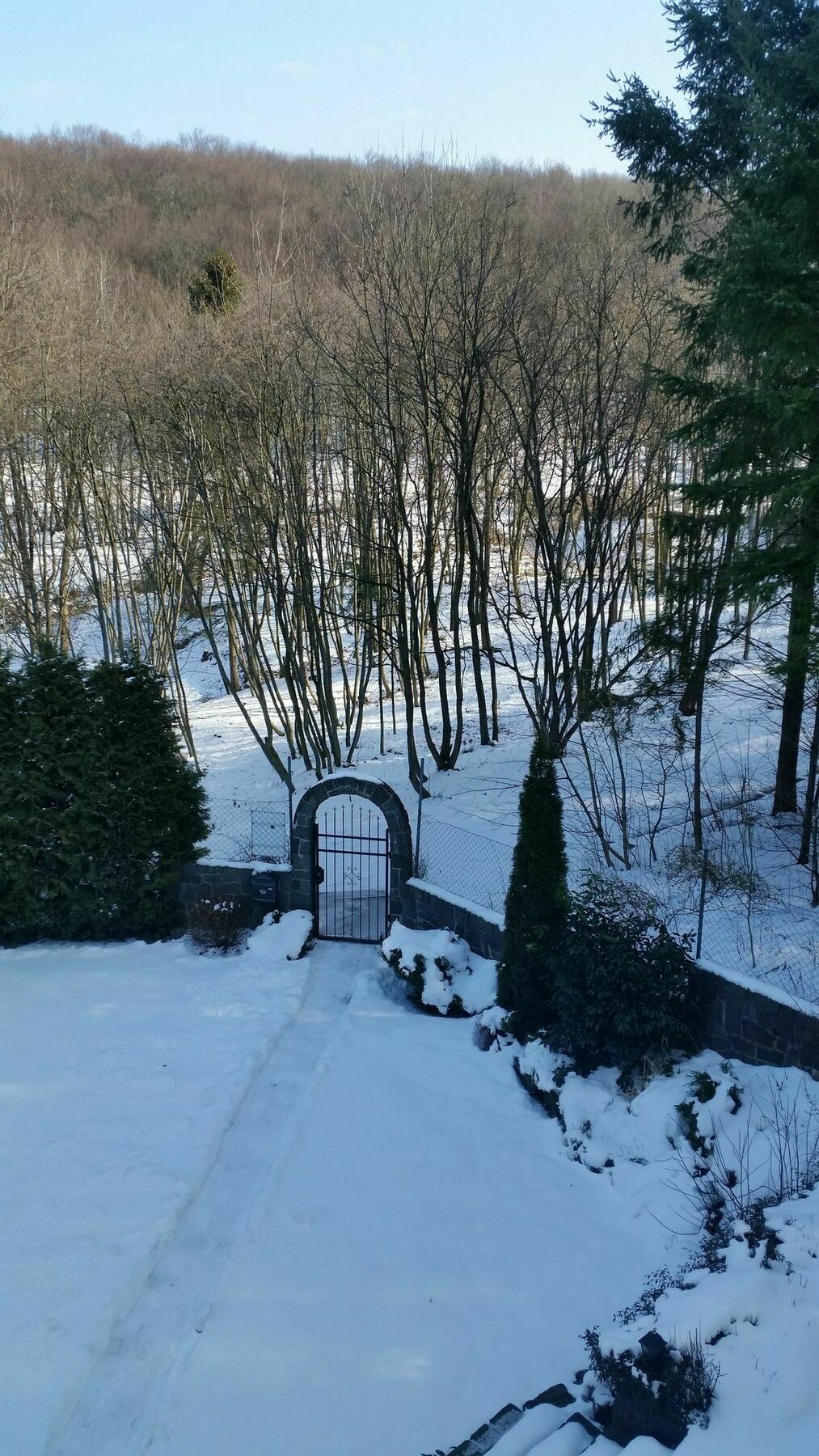Penzion Zlaty Jelen Košice Εξωτερικό φωτογραφία